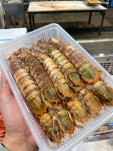 画像をギャラリービューアに読み込む, 北海道　特大シャコ子持ち　3尾
